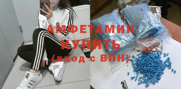 ПСИЛОЦИБИНОВЫЕ ГРИБЫ Абаза