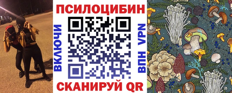 Галлюциногенные грибы Magic Shrooms  MEGA как войти  Ковдор 